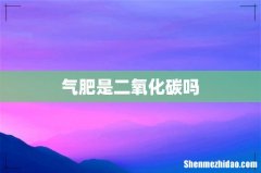气肥是二氧化碳吗