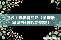 全球最罕见的6种珍贵蛇类 世界上最稀有的蛇