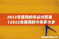 2022年属狗的年龄对照表（2022年属狗的今年多大岁数)