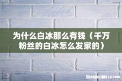 千万粉丝的白冰怎么发家的 为什么白冰那么有钱