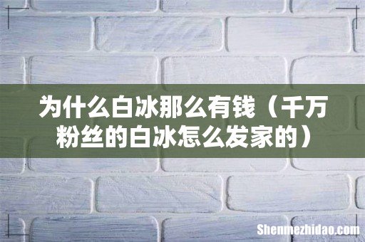 千万粉丝的白冰怎么发家的 为什么白冰那么有钱