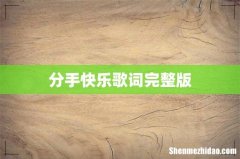 分手快乐歌词完整版