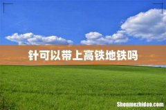 针可以带上高铁地铁吗