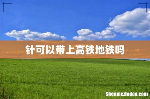 针可以带上高铁地铁吗