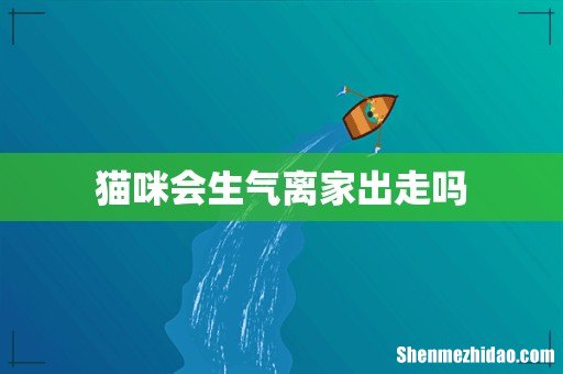 猫咪会生气离家出走吗