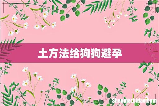 土方法给狗狗避孕