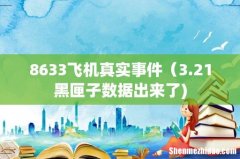 8633飞机真实事件（3.21黑匣子数据出来了)