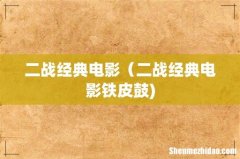 二战经典电影（二战经典电影铁皮鼓)
