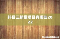 科目三新增项目有哪些2022