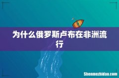为什么俄罗斯卢布在非洲流行