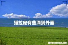 猫拉屎有些滴到外面