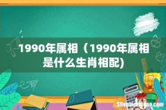 1990年属相（1990年属相是什么生肖相配)