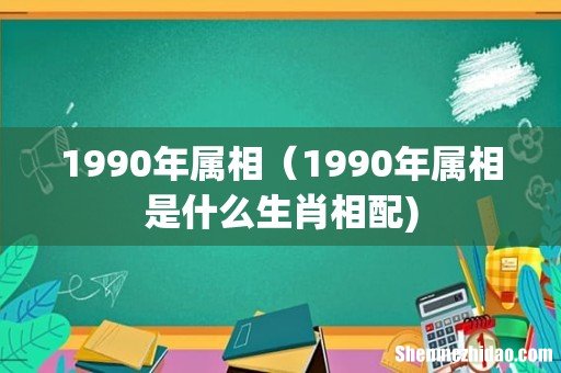 1990年属相（1990年属相是什么生肖相配)