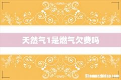 天然气1是燃气欠费吗