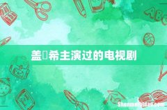 盖玥希主演过的电视剧