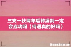 待遇真的好吗 三支一扶两年后转编制一定会成功吗
