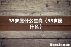 35岁属什么 35岁属什么生肖