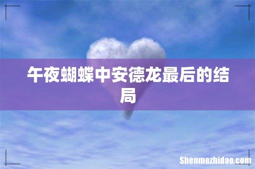 午夜蝴蝶中安德龙最后的结局