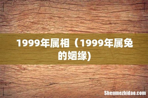 1999年属相（1999年属兔的姻缘)