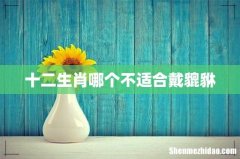 十二生肖哪个不适合戴貔貅