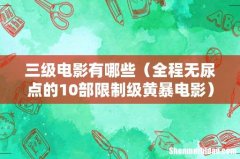 全程无尿点的10部限制级黄暴电影 三级电影有哪些