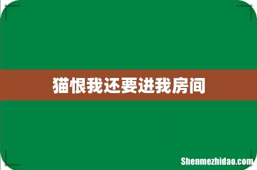 猫恨我还要进我房间