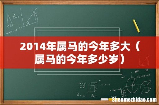 属马的今年多少岁 2014年属马的今年多大