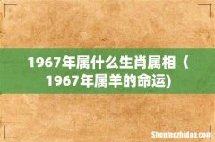 1967年属什么生肖属相（1967年属羊的命运)