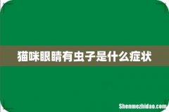 猫咪眼睛有虫子是什么症状
