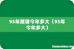 95年今年多大 95年属猪今年多大
