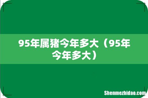 95年今年多大 95年属猪今年多大