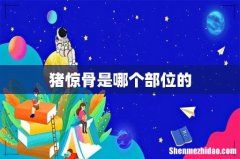猪惊骨是哪个部位的