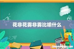 花非花雾非雾比喻什么