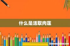 什么是活取肉莲