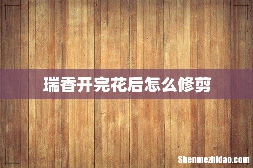 瑞香开完花后怎么修剪