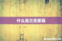 什么是三无家庭