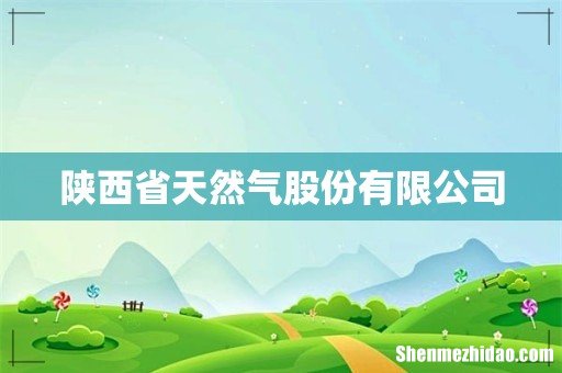 陕西省天然气股份有限公司
