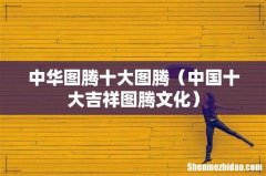 中国十大吉祥图腾文化 中华图腾十大图腾