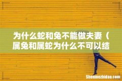 属兔和属蛇为什么不可以结婚 为什么蛇和兔不能做夫妻