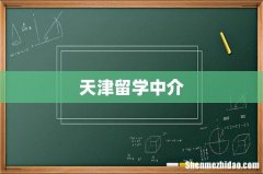 天津留学中介