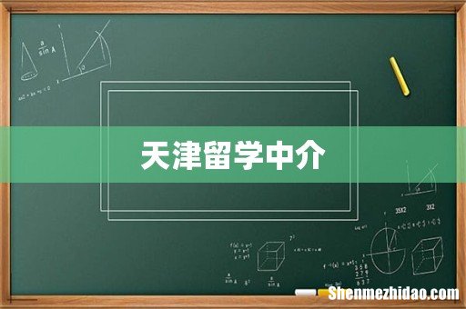 天津留学中介