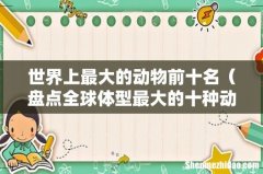 盘点全球体型最大的十种动物 世界上最大的动物前十名