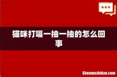 猫咪打嗝一抽一抽的怎么回事
