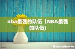 nba最强的队伍（NBA最强的队伍)