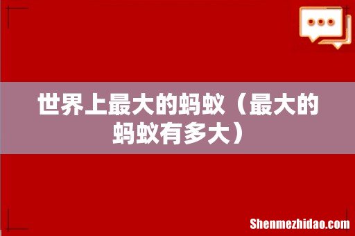 最大的蚂蚁有多大 世界上最大的蚂蚁