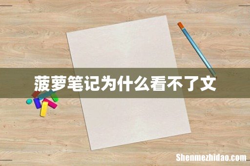 菠萝笔记为什么看不了文
