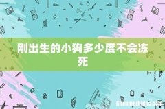 刚出生的小狗多少度不会冻死