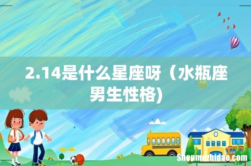 2.14是什么星座呀(水瓶座男生性格)