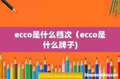 ecco是什么档次（ecco是什么牌子)