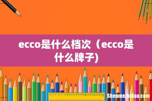 ecco是什么档次(ecco是什么牌子)